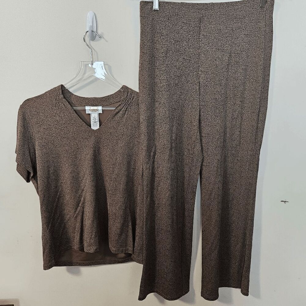 Talbots Rayon/Spandex V Neck Short Sleeve Shirt and Relaxed Pull on Pants Set Wo